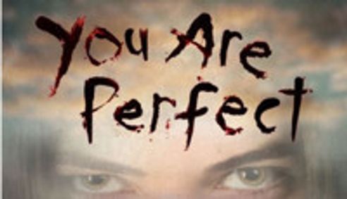 You Are Perfect show poster