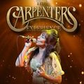 The Carpenters Experience in Ireland