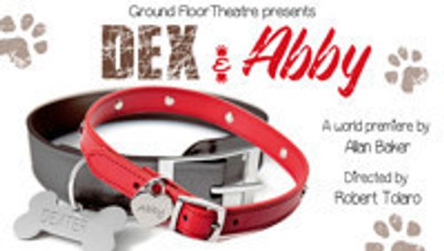 Dex & Abby show poster