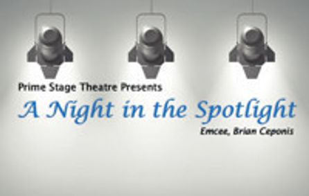 A Night in the Spotlight show poster