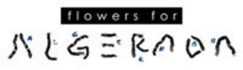 Flowers for Algernon show poster