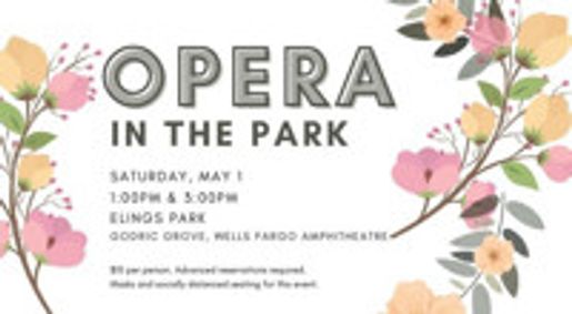Opera in the Park show poster