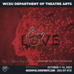 BIG LOVE show poster