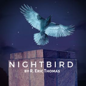 Nightbird show poster