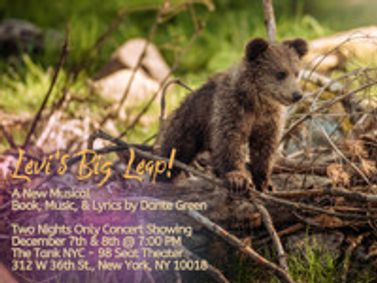 Levi's Big Leap show poster