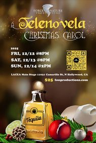 A Telenovela Christmas Carol show poster