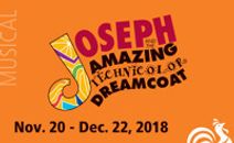 Joseph and the Amazing Technicolor Dreamcoat