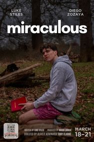 Miraculous show poster