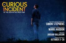 The Curious Incident of the Dog in the Night-Time