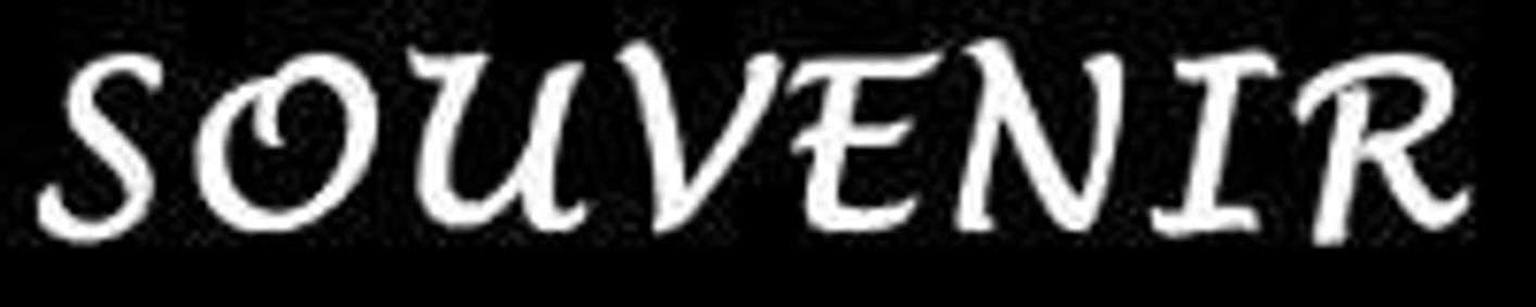 Souvenir show poster