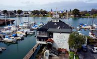 Comedy Oakland at Quinn's Lighthouse Fri Jul 11 8:30pm in Los Angeles