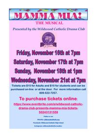 MAMMA MIA! show poster