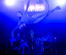 Cabaret: Clambake Sink or Swim