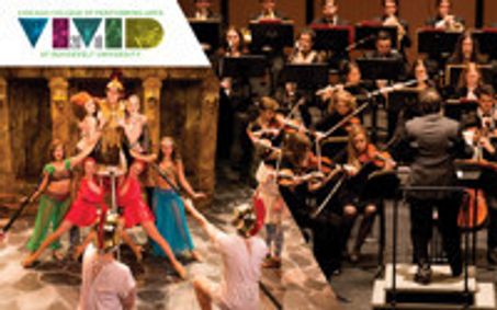 VIVID 2018 show poster