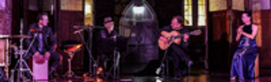 Flamenco for Everybody show poster