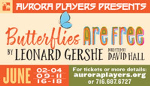 Butterflies Are Free show poster