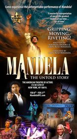 Mandela show poster