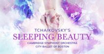 Cambridge Symphony Orchestra Presents: Tchaikovsky’s Sleeping Beauty