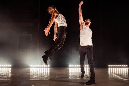 Stuntman show poster