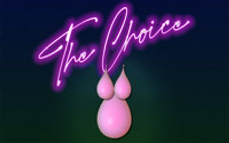 The Choice show poster