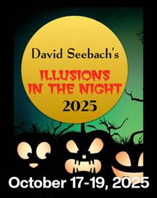 David Seebach: Illusions in the Night 2025 show poster