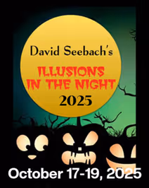 David Seebach: Illusions in the Night 2025