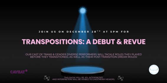 Transpositions: A Debut and Revue show poster
