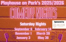 Playhouse on Park's Comedy Night Series