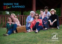 Shakin‘ the Blue Flamingo