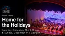 Home For The Holidays