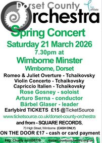 Orchestral Concert On March 21, 2026 show poster