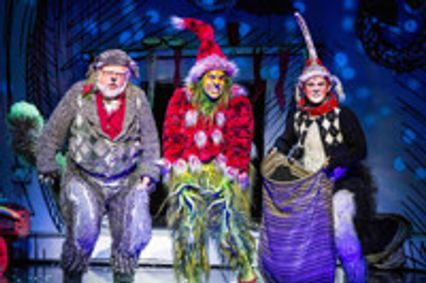 Dr Seuss' How the Grinch Stole Christmas! The Musical show poster