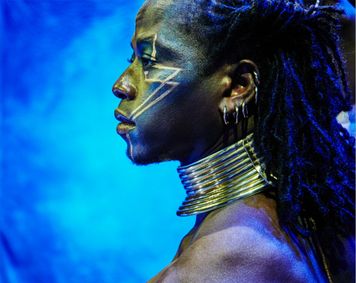 Afrique en Cirque show poster