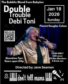 Double Trouble Debi Toni The Bubbling Blonde From Babylon show poster