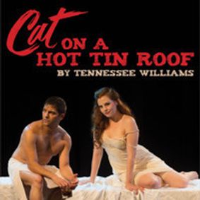 Cat On A Hot Tin Roof show poster