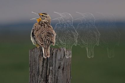 Climate Crisis Cabaret: The Warm-Up show poster