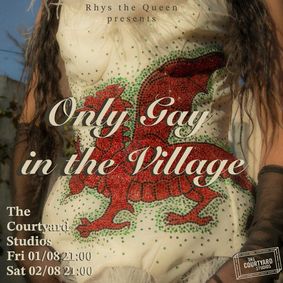 The Only Gay In The Village show poster
