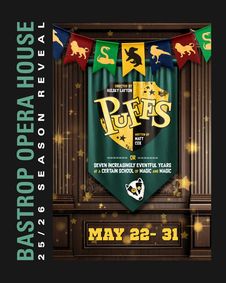 Puffs, or Seven Increasingly Eventful Years at a Certain School of Magic and Magic show poster