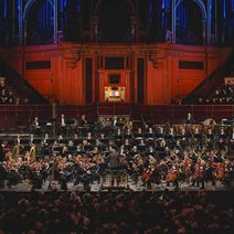 Royal Philharmonic Orchestra