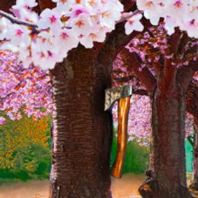 The Cherry Orchard show poster