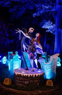 Disney Tim Burton's The Nightmare Before Christmas Light Trail