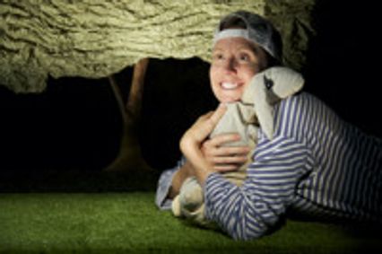 THE VELVETEEN RABBIT show poster