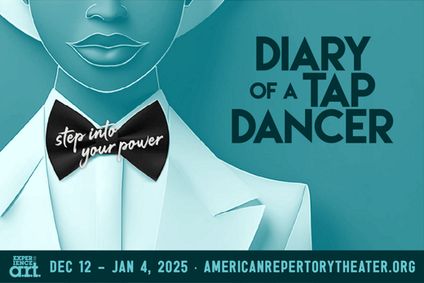 Diary of a Tap Dancer show poster