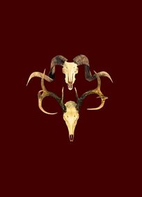 A Lie of the Mind show poster