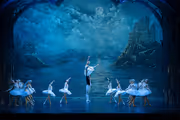 Swan Lake: International Ballet Stars in Liberty, SC! in South Carolina