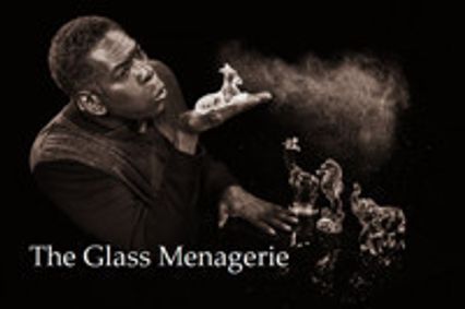 The Glass Menagerie show poster