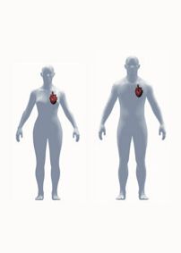 Being, and Organs show poster