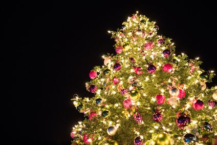 La County Tree Lighting Ceremony Presented by The Music Center show poster