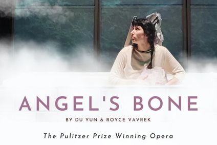 Angel's Bone show poster