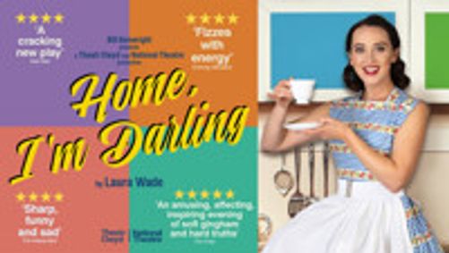 Home, I'm Darling show poster